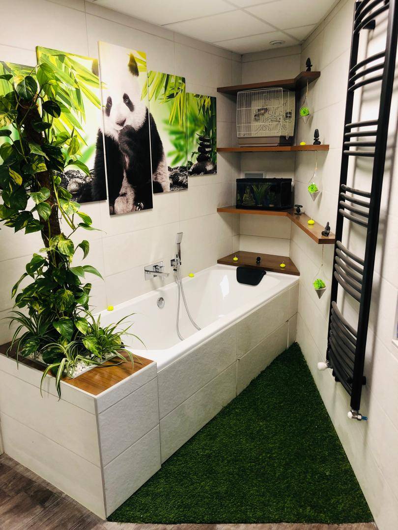 salle de bain renovee nature